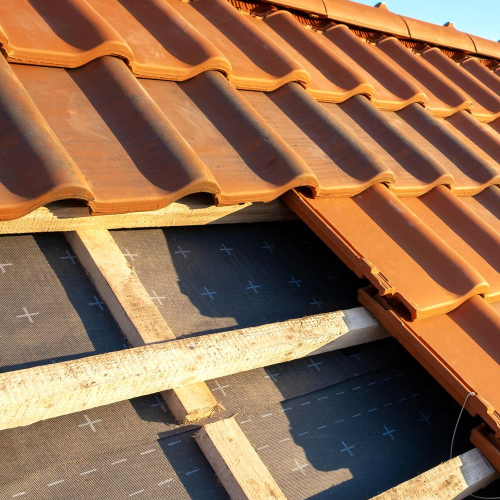 Couvreur démoussage Auzeville-Tolosane